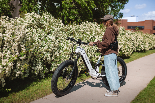 puckipuppy ebike product image