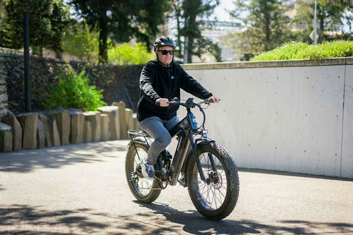 puckipuppy ebike product image