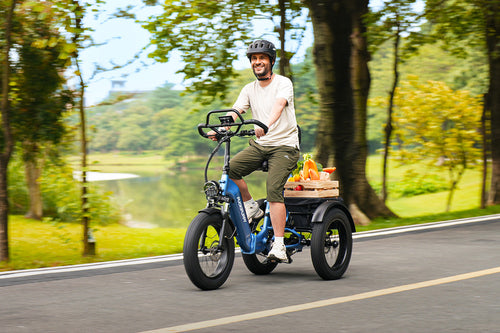 puckipuppy ebike product image
